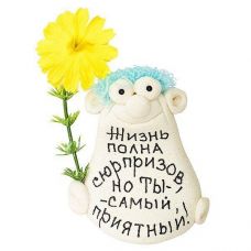Souvenir figurine talisman "Life is full of surprises, but you are the most pleasant"